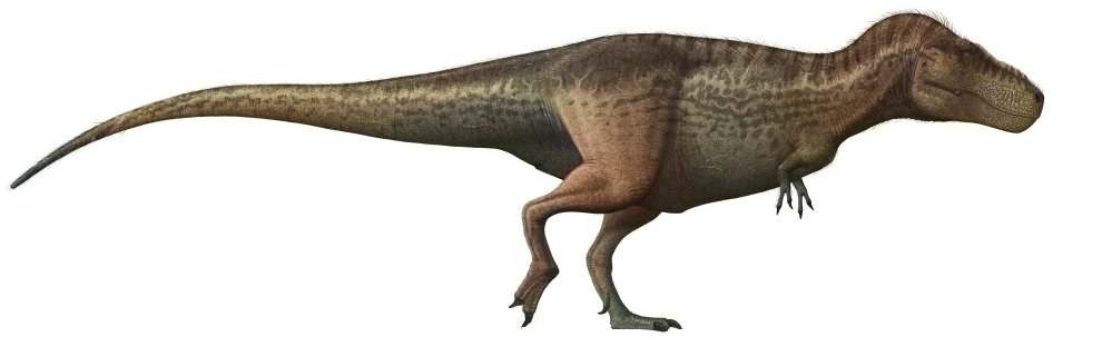 Tyrannosaurus rex